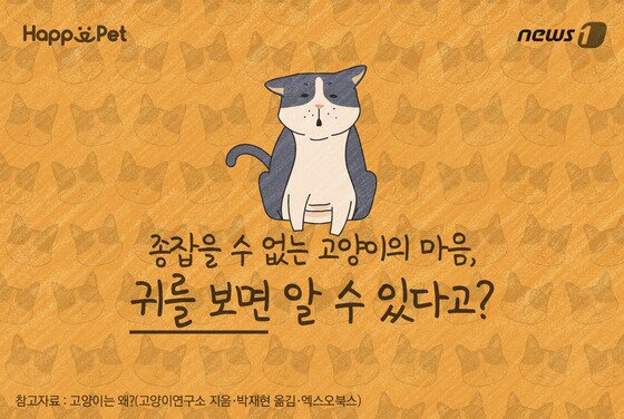 본문 이미지 - ⓒ News1