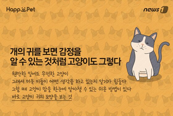 본문 이미지 - ⓒ News1