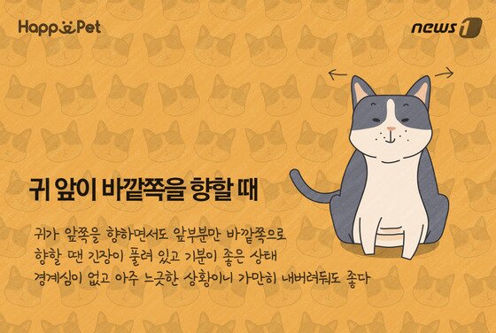 본문 이미지 - ⓒ News1