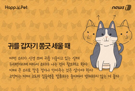 본문 이미지 - ⓒ News1