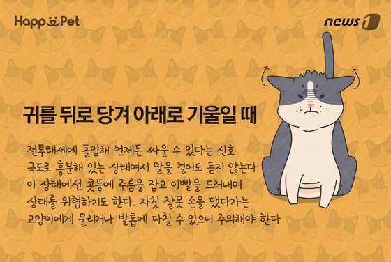 본문 이미지 - ⓒ News1