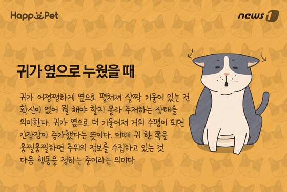 본문 이미지 - ⓒ News1