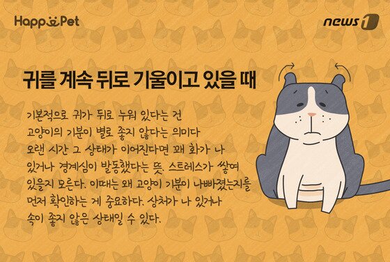 본문 이미지 - ⓒ News1