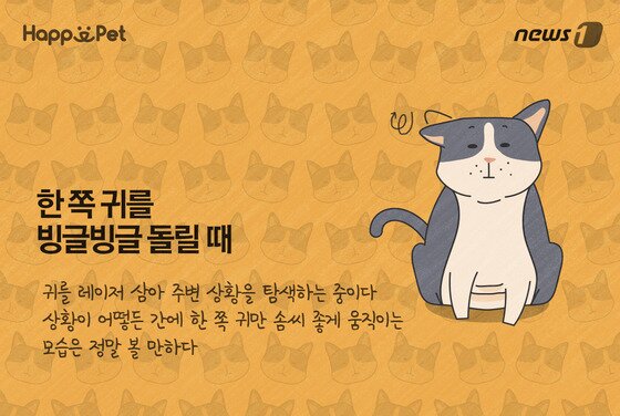 본문 이미지 - ⓒ News1