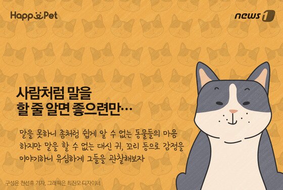 본문 이미지 - ⓒ News1