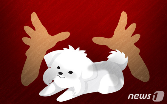 아내 대신 반려견 끌어안고 자는 남편, 2세는 거부…빚내서 치료비까지