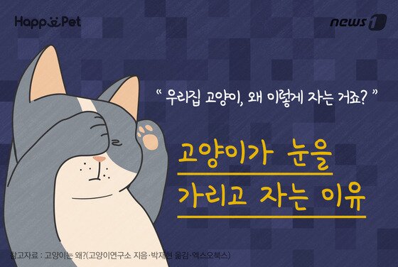 본문 이미지 - ⓒ News1