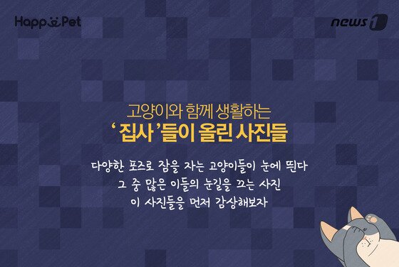 본문 이미지 - ⓒ News1