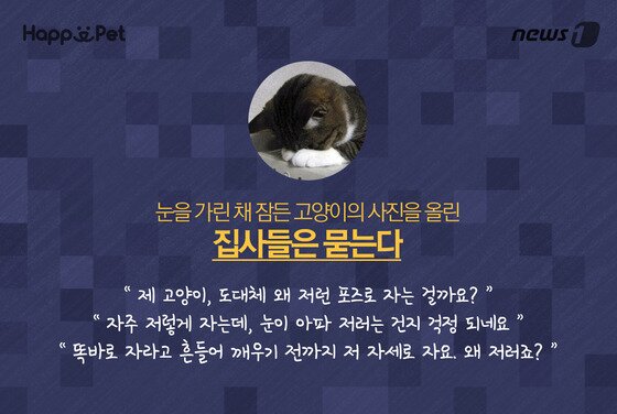 본문 이미지 - ⓒ News1