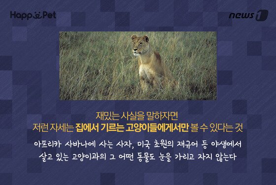 본문 이미지 - ⓒ News1