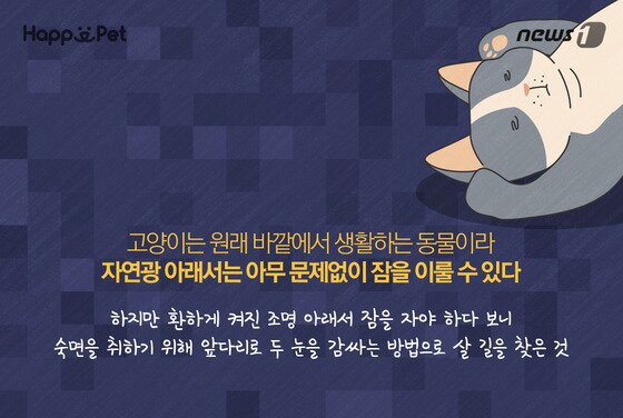 본문 이미지 - ⓒ News1