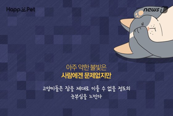 본문 이미지 - ⓒ News1