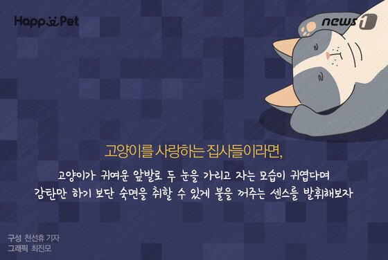 본문 이미지 - ⓒ News1