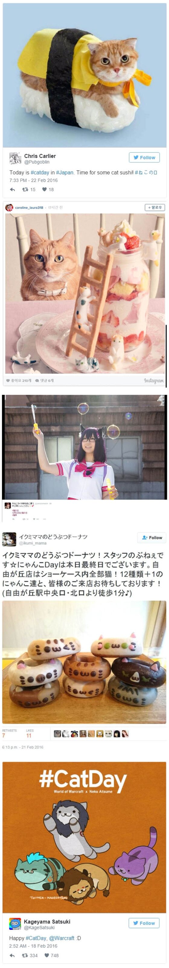 본문 이미지 - 영국 BBC 등 외신들은 22일 '고양이의 날' 30주년을 기념하는 일본의 애묘인들의 모습을 22일(현지시간) 보도했다. (사진 BBC, abc 관련 기사 캡처)ⓒ News1