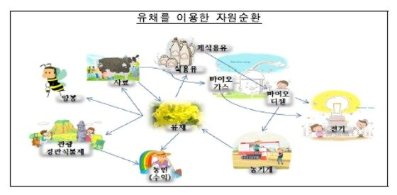 본문 이미지 - ⓒ News1