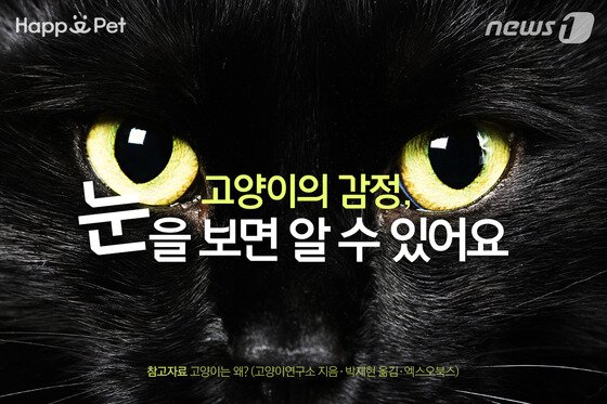 본문 이미지 - ⓒ News1