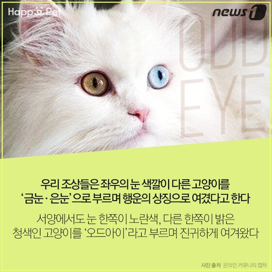 본문 이미지 - ⓒ News1