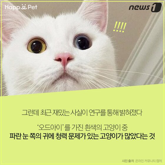 본문 이미지 - ⓒ News1