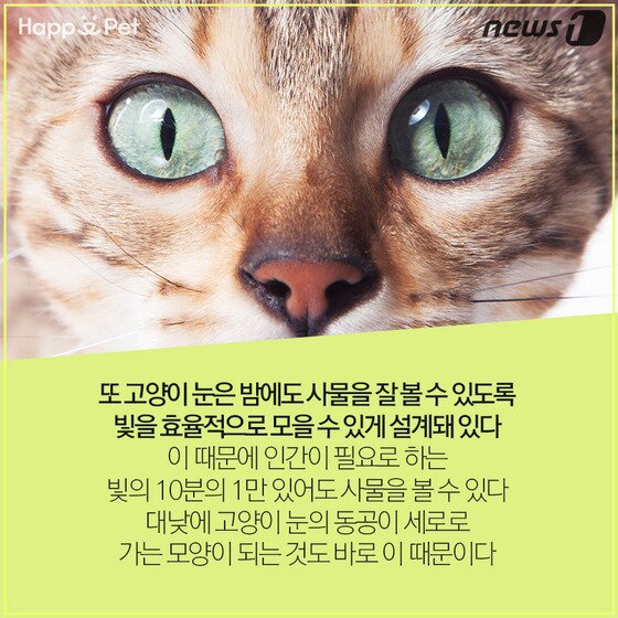 본문 이미지 - ⓒ News1