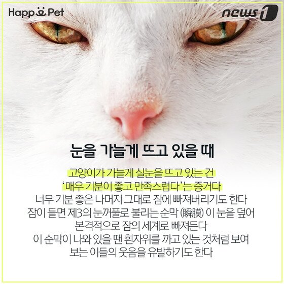 본문 이미지 - ⓒ News1