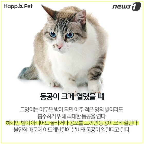 본문 이미지 - ⓒ News1