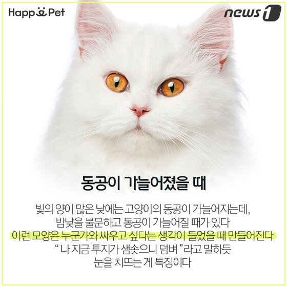 본문 이미지 - ⓒ News1