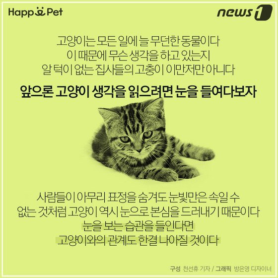 본문 이미지 - ⓒ News1