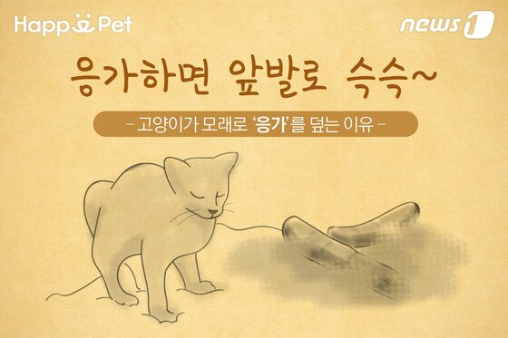 본문 이미지 - ⓒ News1