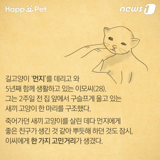 본문 이미지 - ⓒ News1