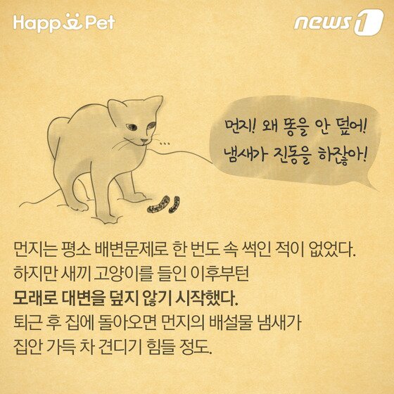 본문 이미지 - ⓒ News1