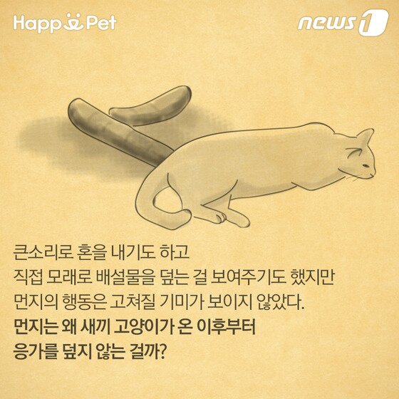 본문 이미지 - ⓒ News1