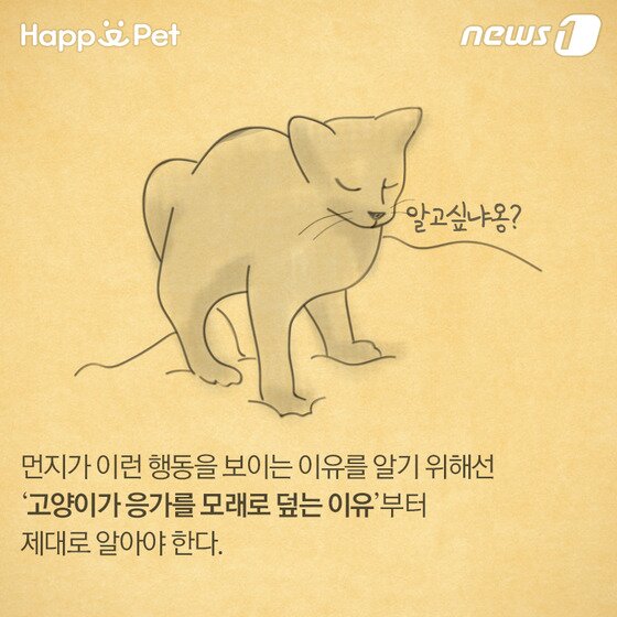 본문 이미지 - ⓒ News1