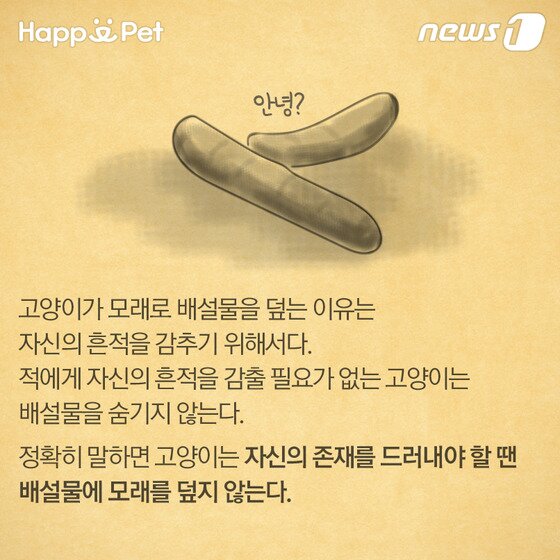 본문 이미지 - ⓒ News1