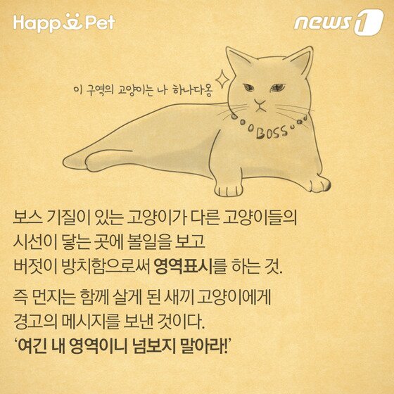 본문 이미지 - ⓒ News1