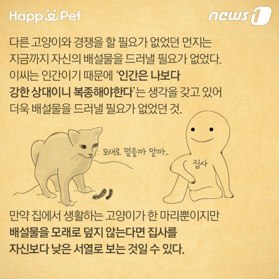 본문 이미지 - ⓒ News1