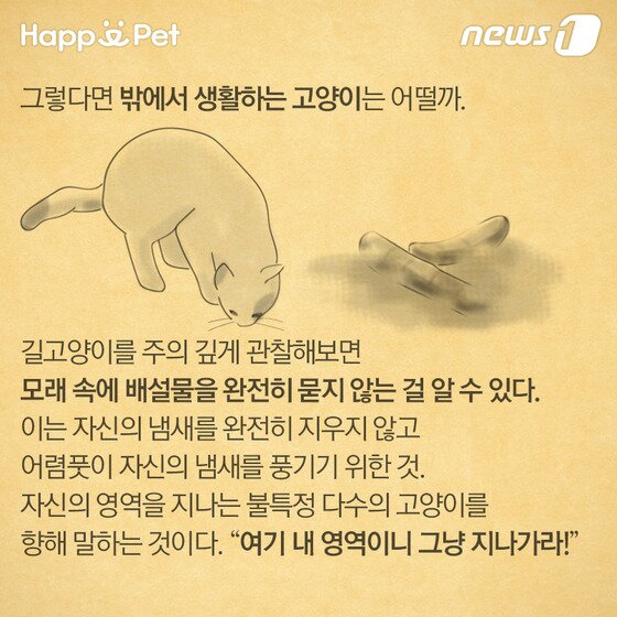 본문 이미지 - ⓒ News1