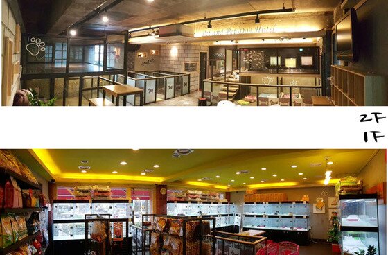 본문 이미지 - ⓒ News1