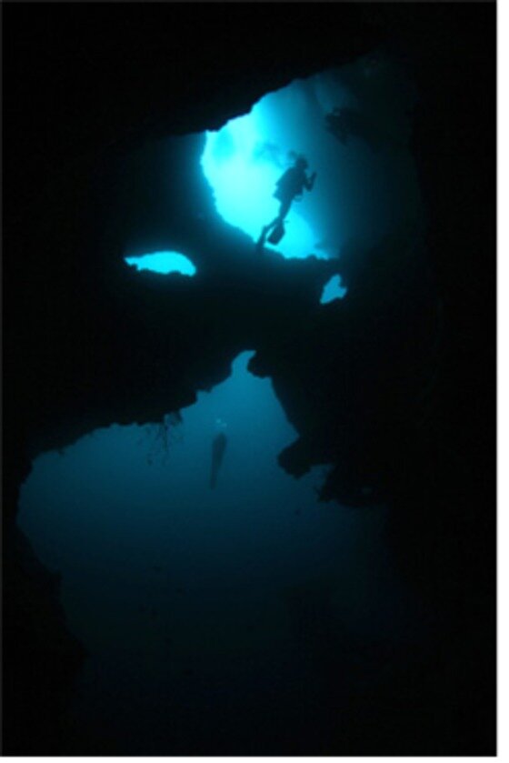 본문 이미지 - 페스카도르 섬은 깨끗한 생태계를 유지하고 있다.ⓒ News1