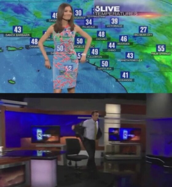 본문 이미지 - 미국의 기상캐스터가 돌발상황에 재치있게 대응했다. ⓒ News1star/미국 KTLA 영상화면 캡처