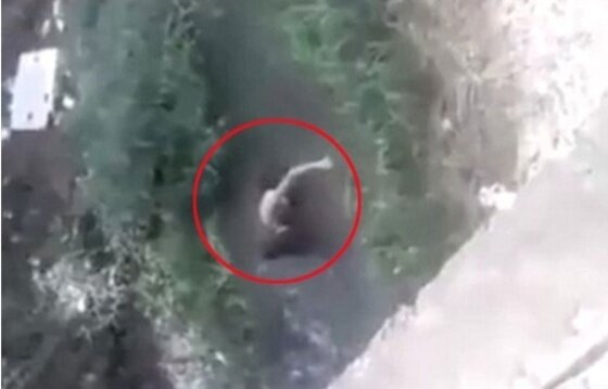 본문 이미지 - 브라질의 한 여성이 남편의 내연녀에게 끔찍한 복수를 시도했다. ⓒ News1star/데일리메일