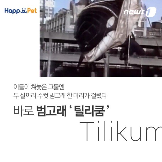 본문 이미지 - ⓒ News1