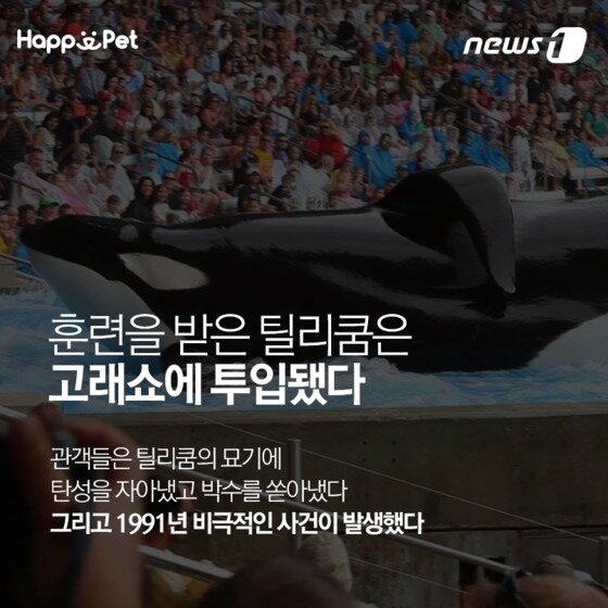 본문 이미지 - ⓒ News1