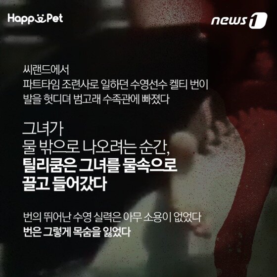 본문 이미지 - ⓒ News1