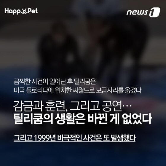 본문 이미지 - ⓒ News1