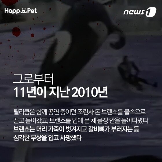 본문 이미지 - ⓒ News1