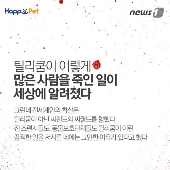 본문 이미지 - ⓒ News1