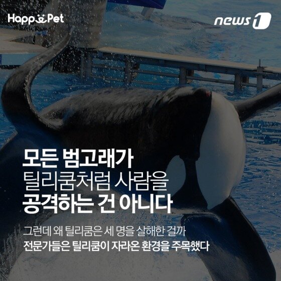 본문 이미지 - ⓒ News1
