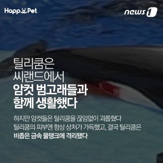 본문 이미지 - ⓒ News1