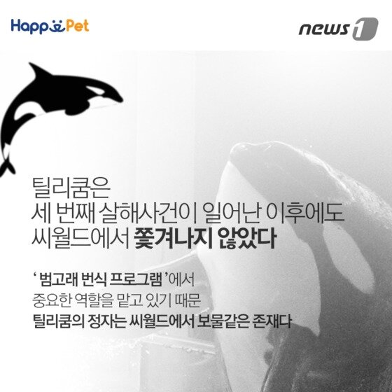 본문 이미지 - ⓒ News1