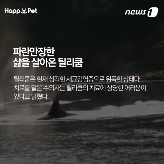 본문 이미지 - ⓒ News1